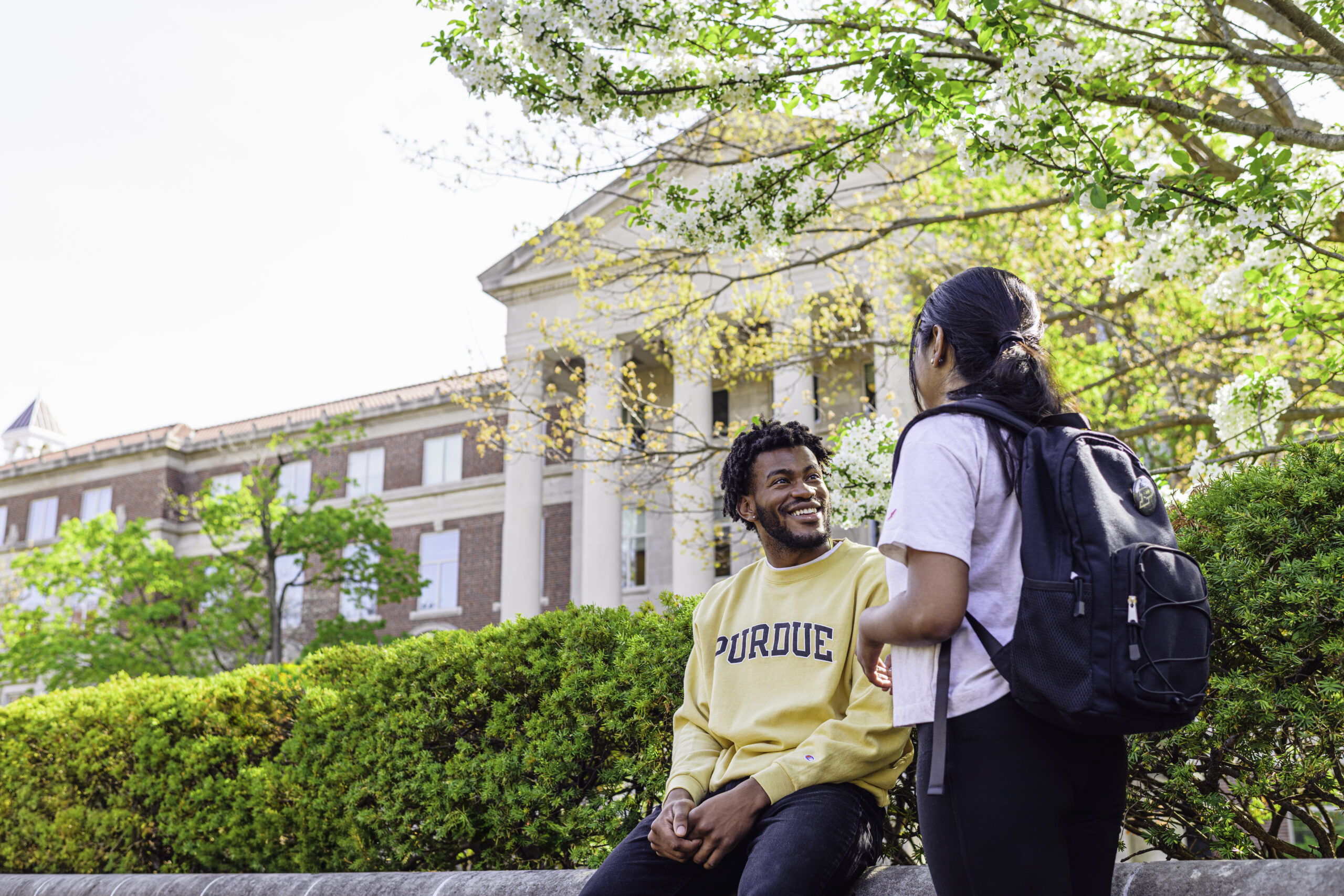 Two students talk outside on a sunny campus walkway with blooming trees and a university building in the background.