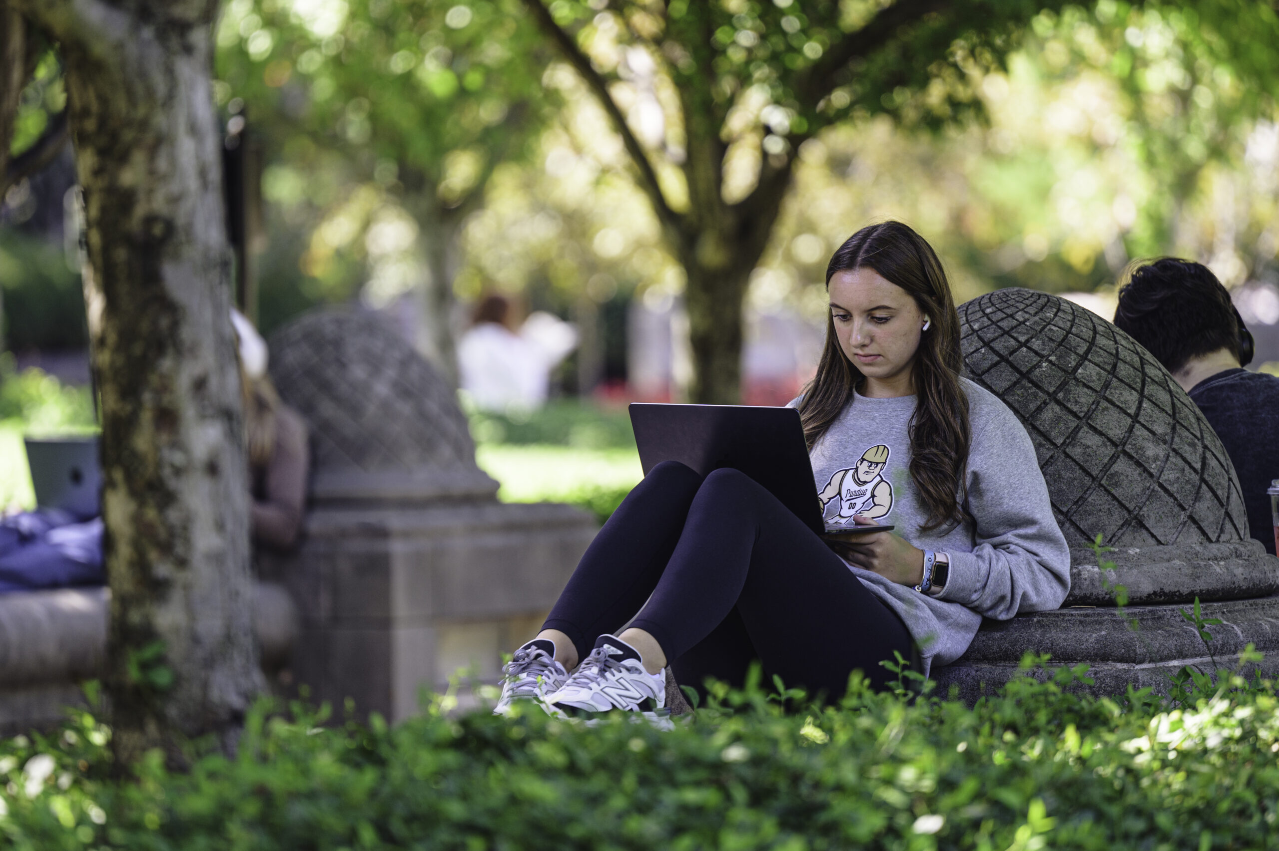 Student sitting outside looking at laptop.