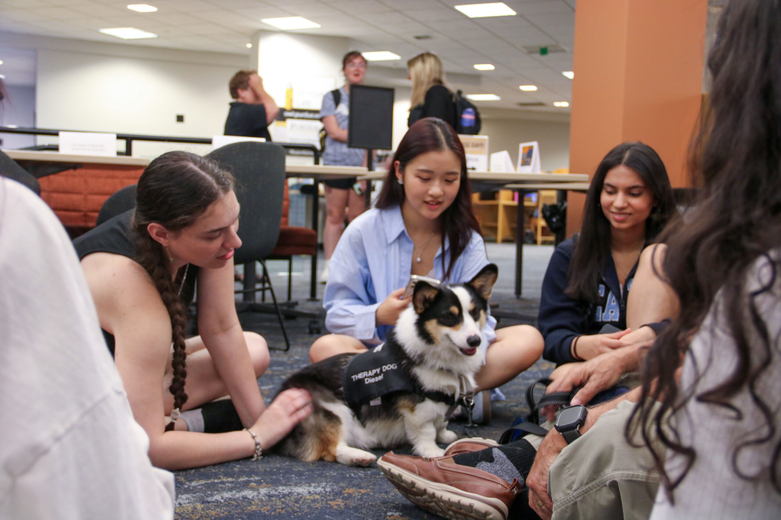Three students sit cross-legged on the floor of a university building, smiling and petting a tricolor Corgi wearing a 